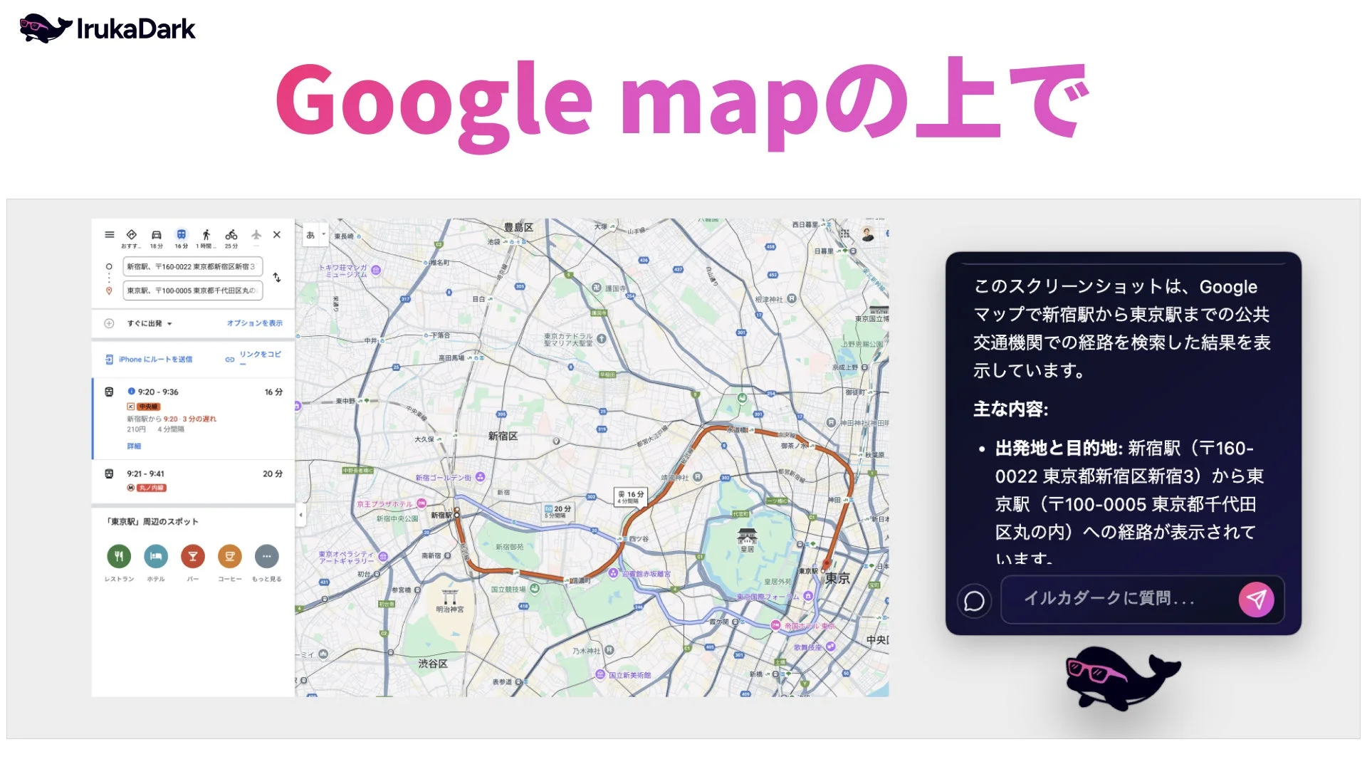 IrukaDark Google mapの上で