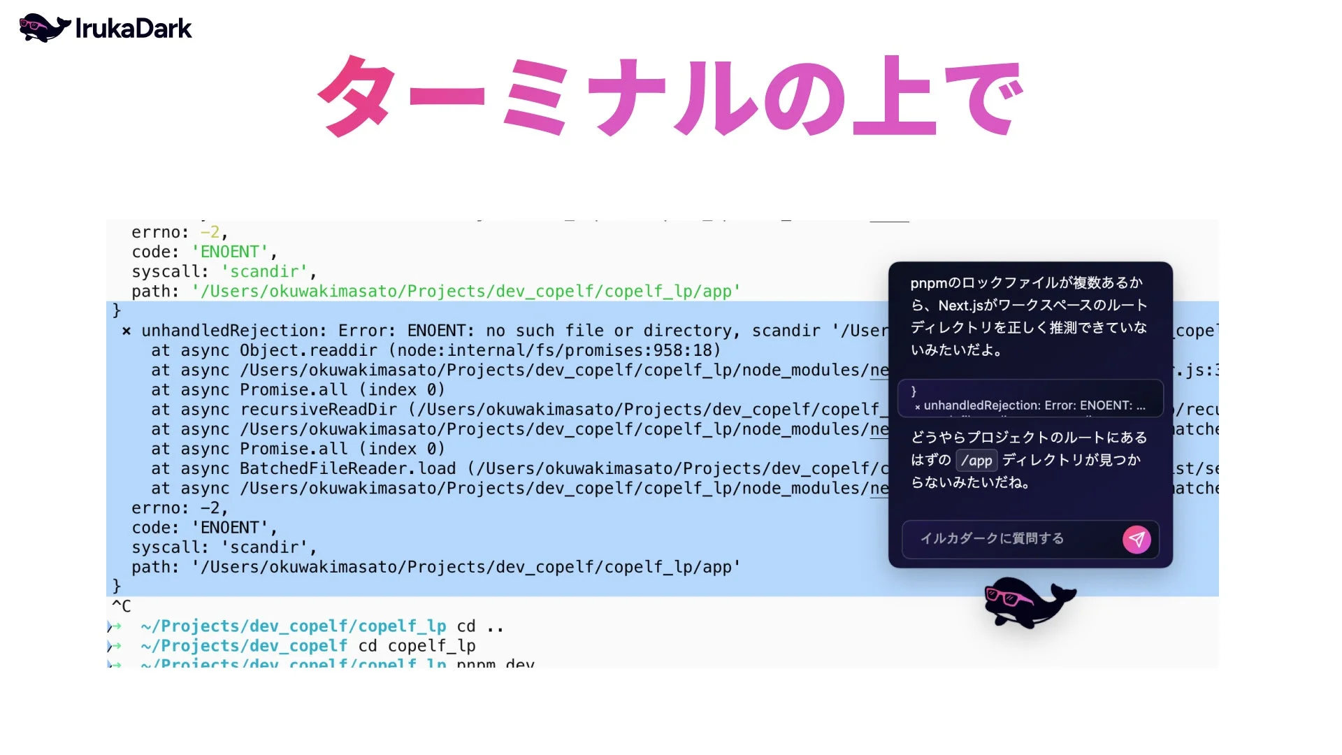 IrukaDark ターミナルの上で