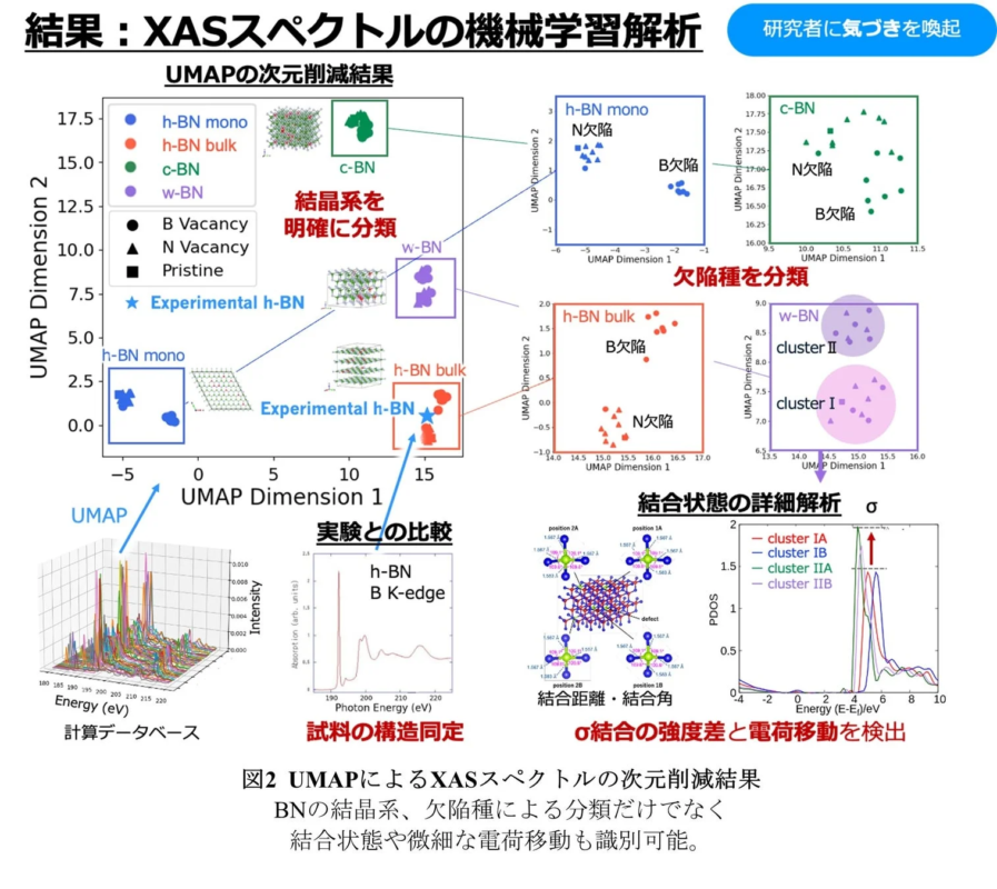 UMAPによるX線吸収スペクトルデータの解析結果