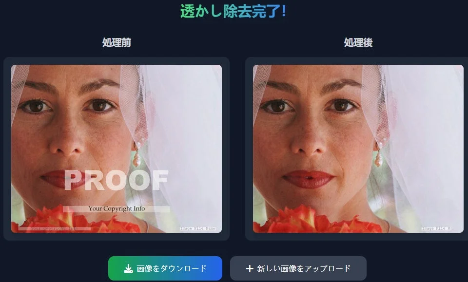 画像ウォーターマーク除去のビフォーアフター
