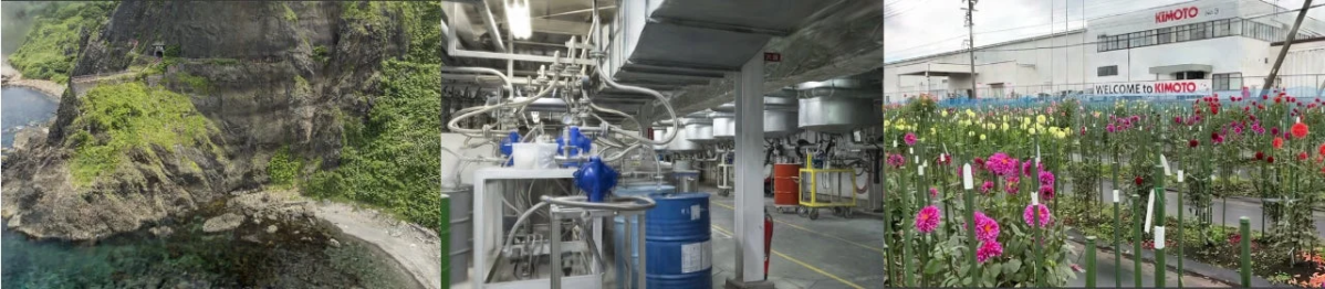 KIMOTOの事業イメージ