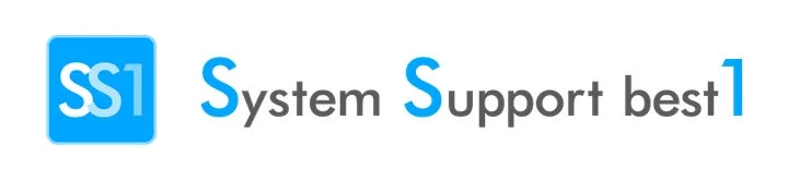 SS1 System Support best 1
