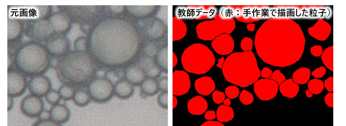 元画像と手作業で描画した粒子を示す教師データ