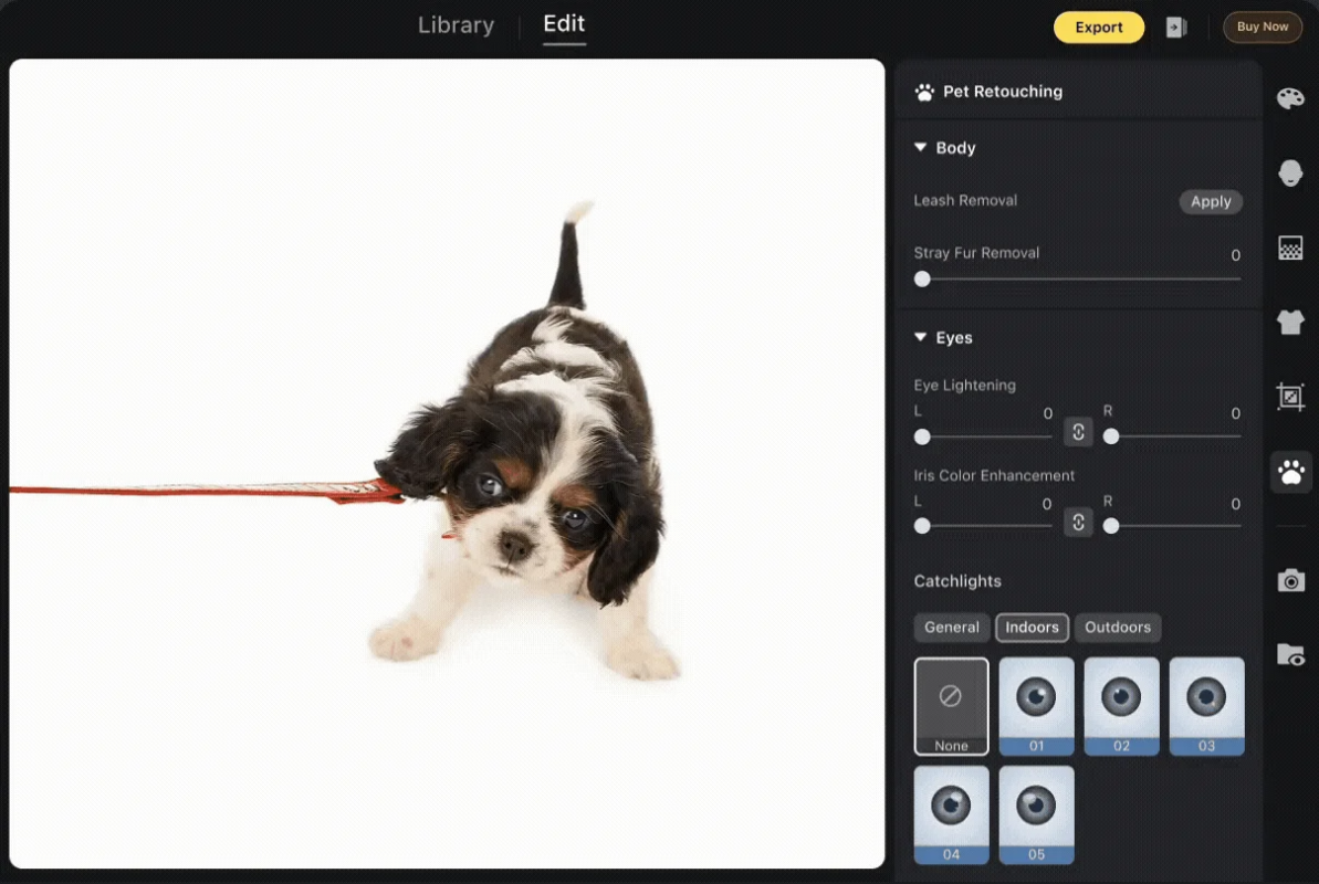 ペットレタッチ機能の画面