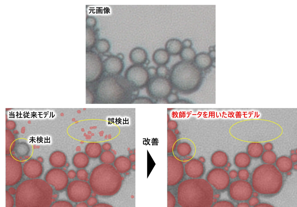 従来モデルと改善モデルの検出結果の比較