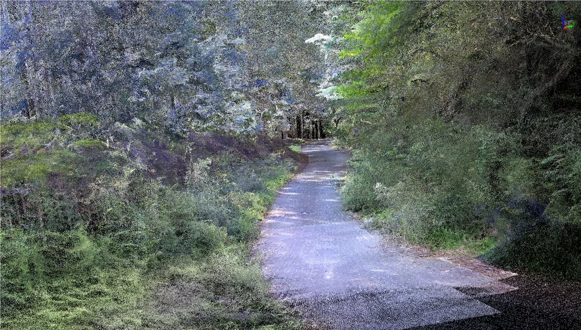 FLIGHTS SCAN HANDY 2による森の点群データ