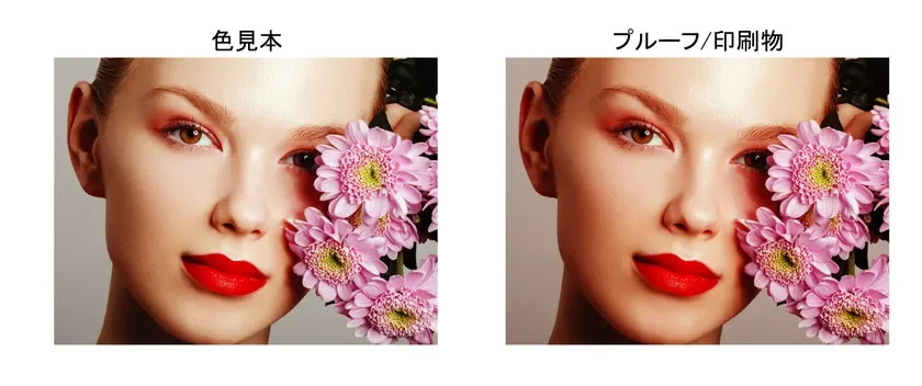 色見本とプルーフ／印刷物