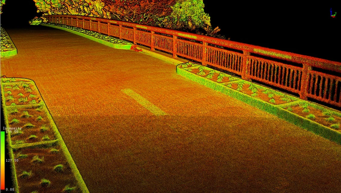 FLIGHTS SCAN HANDY 2 Plusによる強度マップ