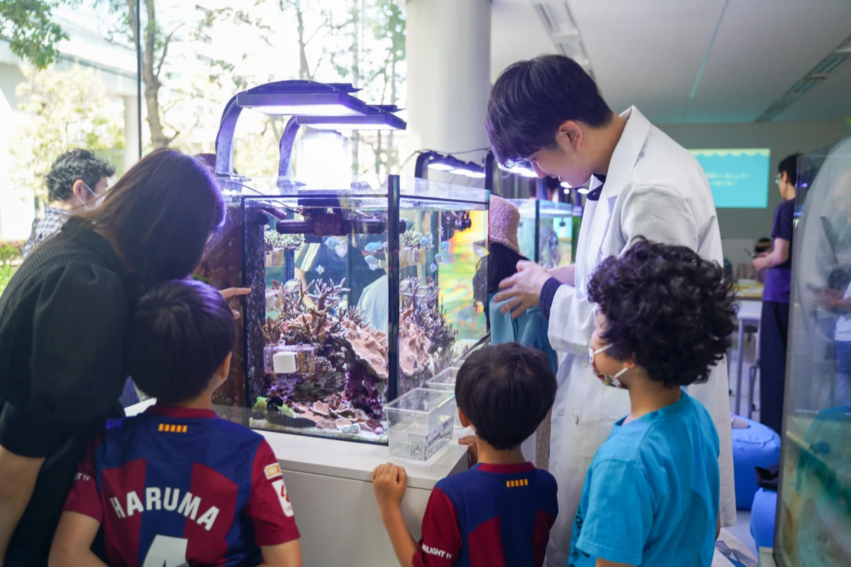 水族館,子供,教育,海の生き物,研究者,体験学習,サンゴ礁,魚,イベント