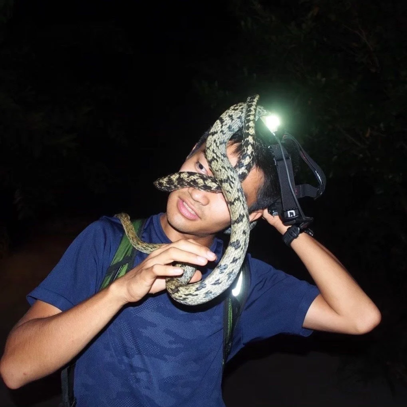 人物,蛇,夜,ヘッドランプ,爬虫類,アウトドア,生き物,自然,探検,ユニーク