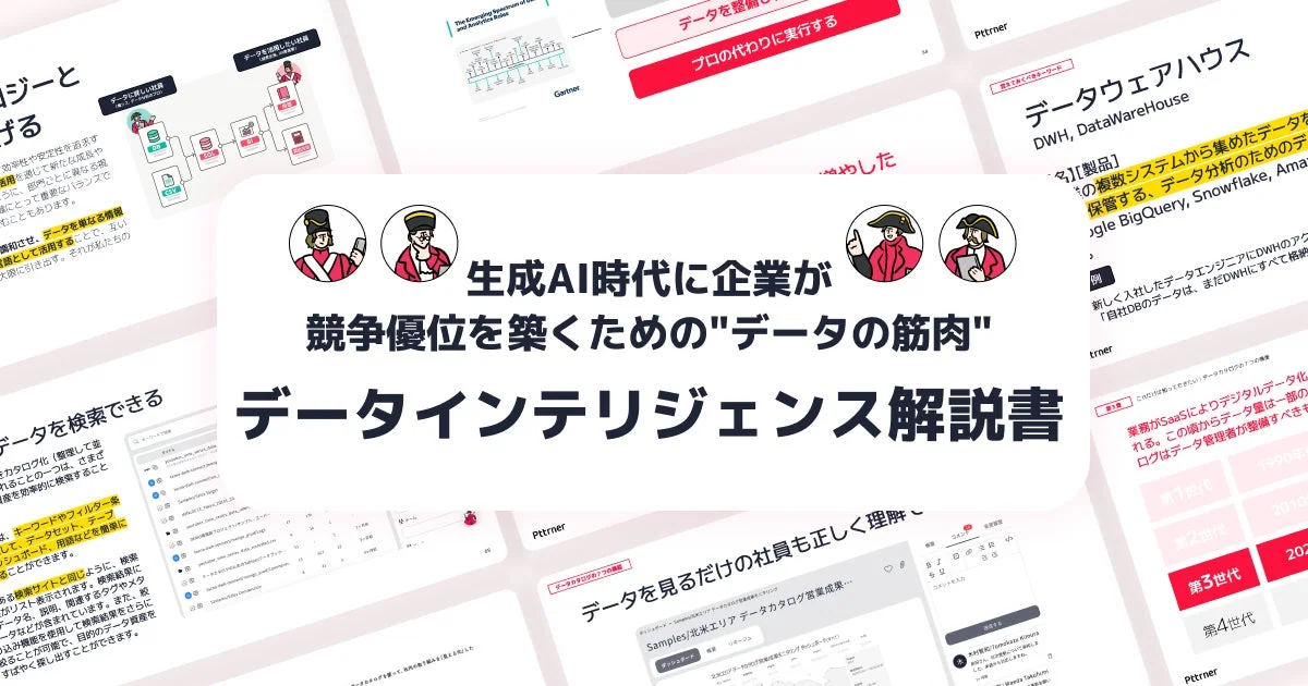 データインテリジェンス解説書の表紙