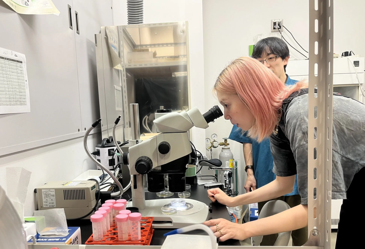 研究室で顕微鏡を覗く女性