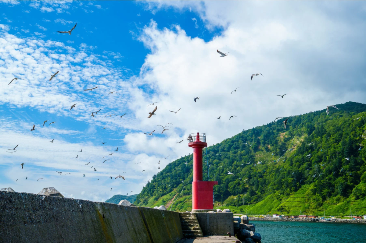 青い空と白い雲の下、赤い灯台が立つ防波堤の周りを多くのカモメが飛び交い、緑豊かな山と青い海が広がる美しい海岸の風景です。
