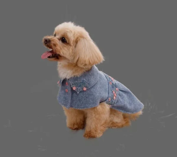 灰色の背景に、花柄の刺繍が施されたデニム風の服を着て座っている可愛らしい小型犬の画像です。