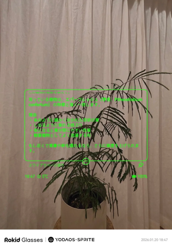 ARキャプチャ機能で植物の情報を表示