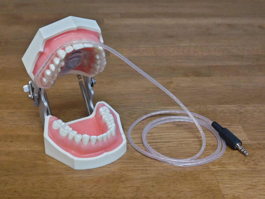 マウスピース型人工喉頭の模型