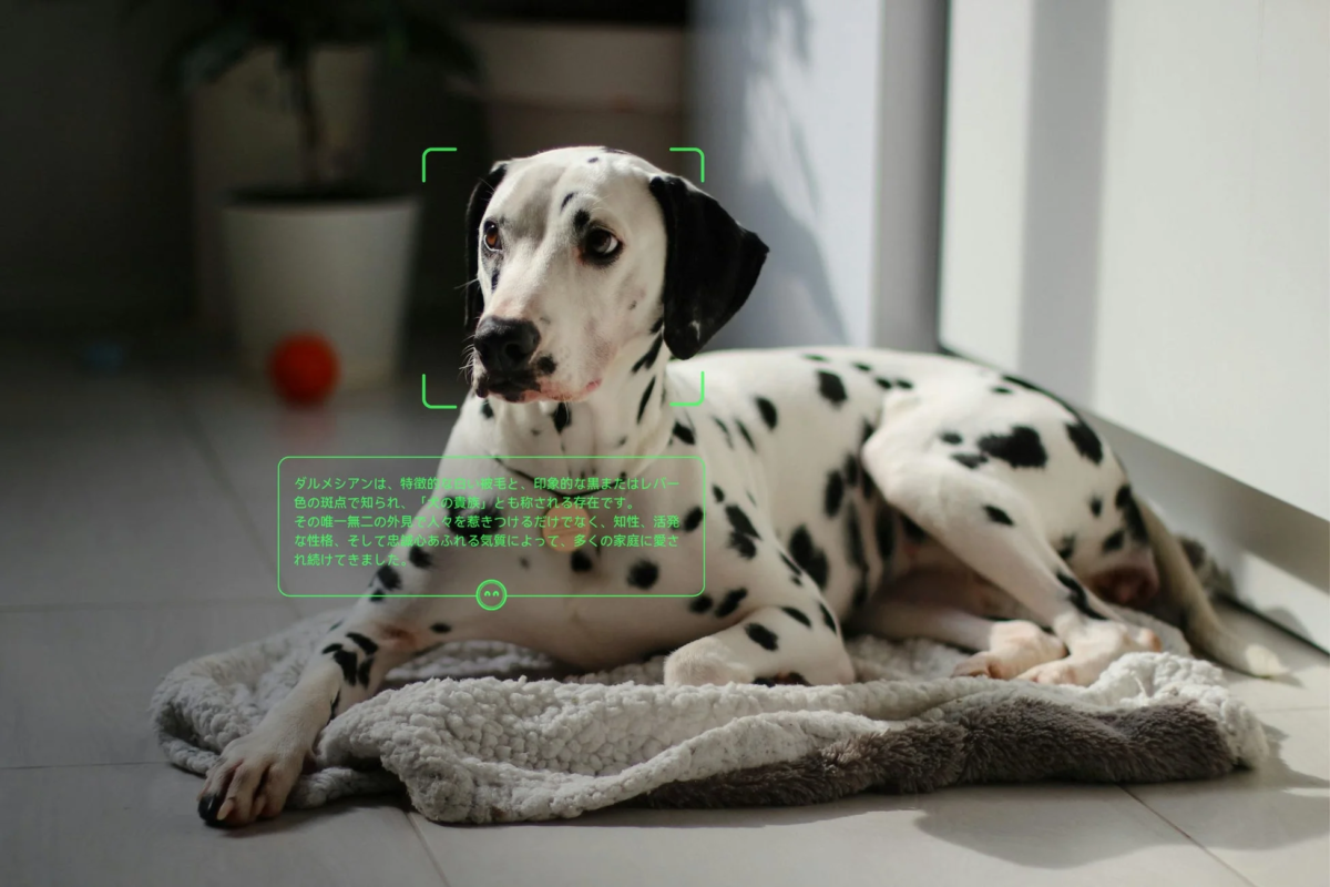 ダルメシアンの解説をスマートグラスで表示