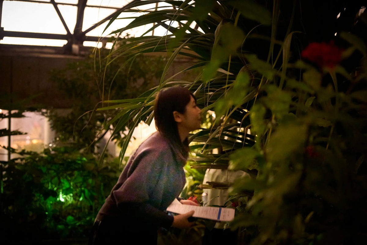 温室で植物を観察する女性