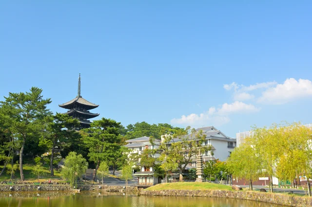 青空の下、池のほとりに日本の五重塔がそびえ立つ、緑豊かな美しい風景です。歴史ある寺院の静けさと、観光地の魅力が感じられます。